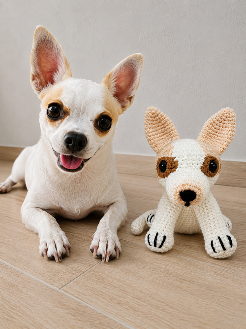 Amigurumi "Patitas"